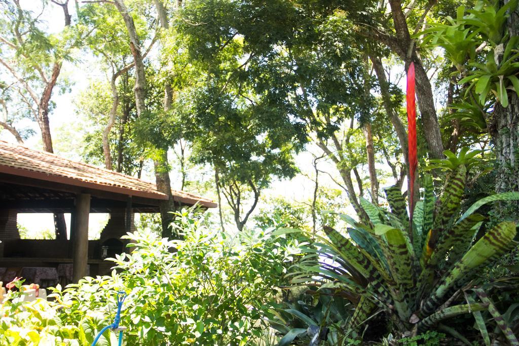 Pousada Da Mata Iriri Exterior foto